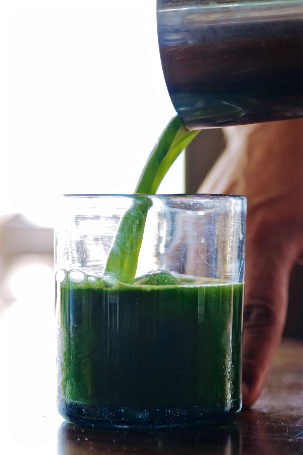 Marine Phytoplankton Powder